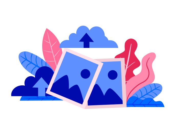 Profile picture of undefined